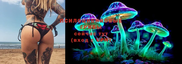 амф Арсеньев
