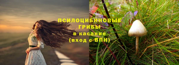амф Арсеньев