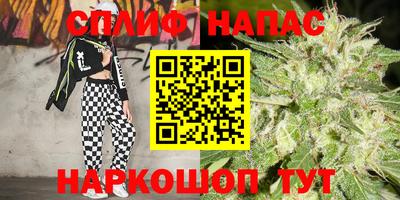 спайс Баксан