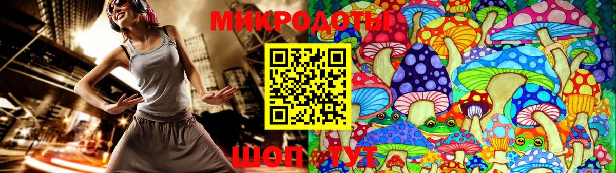 Баксан  Псилоцибиновые грибы Psilocybe  Вход с VPN 